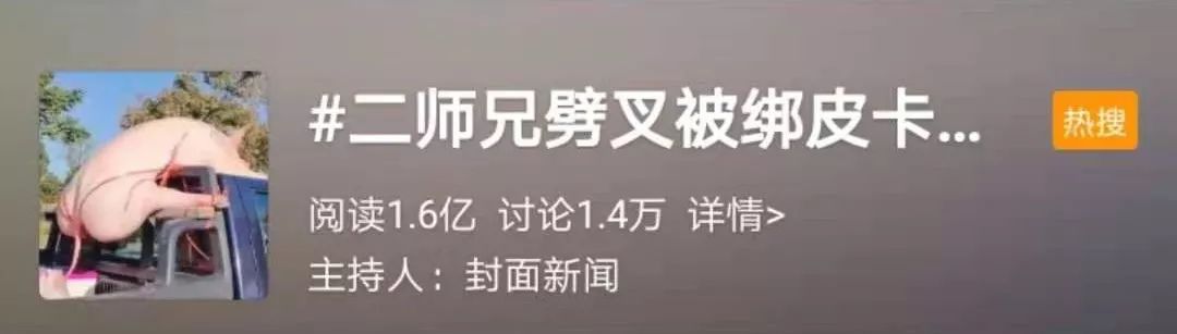 2018最新信誉好的赌博平台|黄镛:关于赏石哲学的粗浅思考