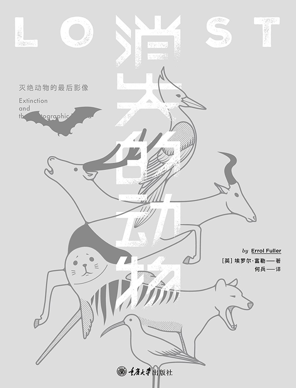 绿茶书情|米兔之路 邻人之妻