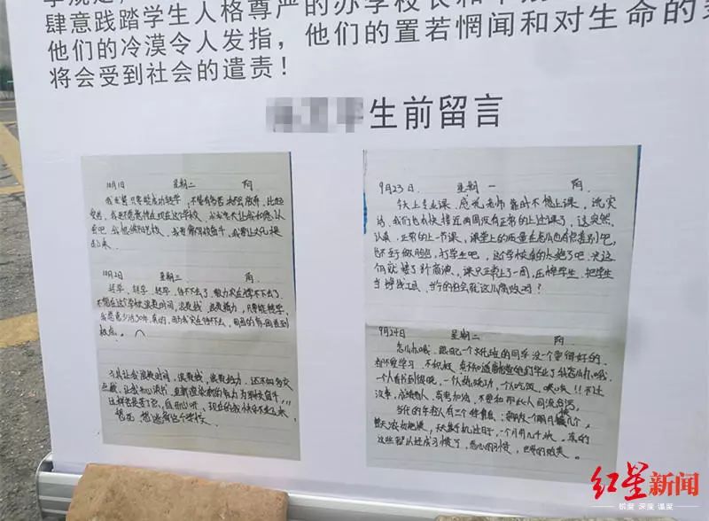 pt老虎机注册送8·男子自带老鼠进海底捞索赔 涉嫌敲诈勒索被诉