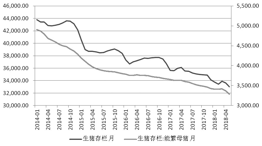  图为2014年以来国内月度生猪和能繁母猪存栏量  （单位：万头）