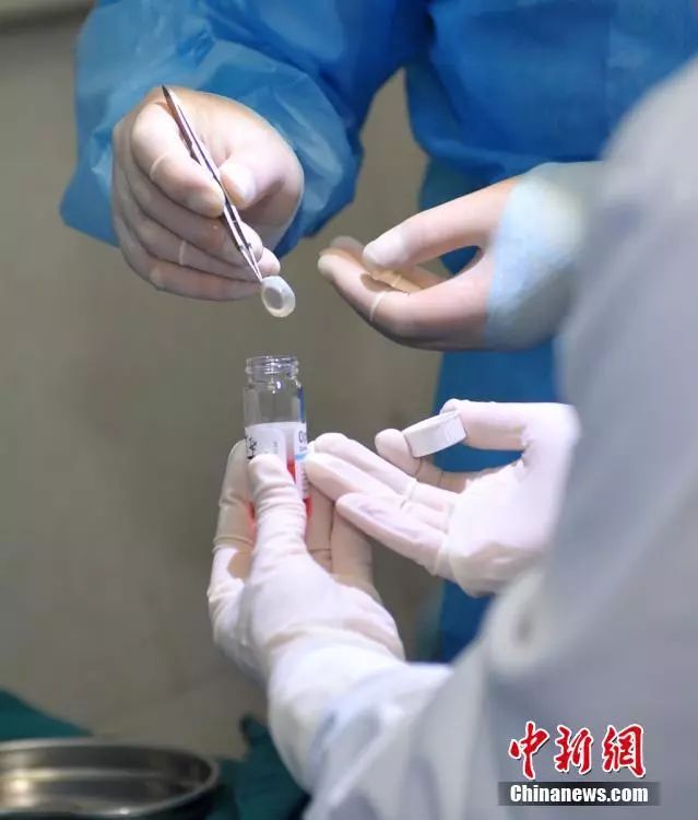 资料图 郑健摄