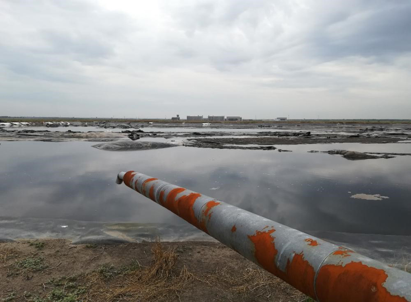 黑龙江省畜禽养殖污染监管无力 龙头企业环境