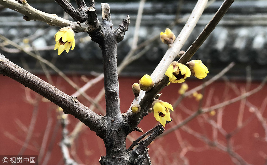 明天下雪?故宫门票卖光了!那就学古人踏雪寻