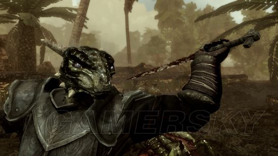 上古卷轴5野外人口_上古卷轴5