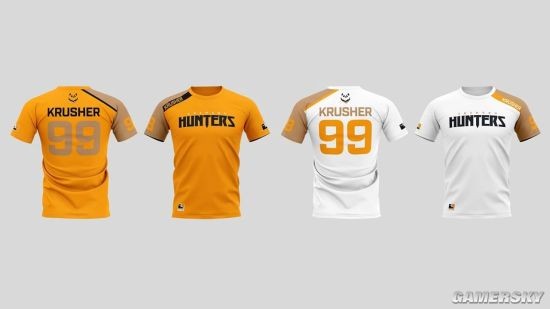 《守望先锋》联赛战队预览:成都猎人队