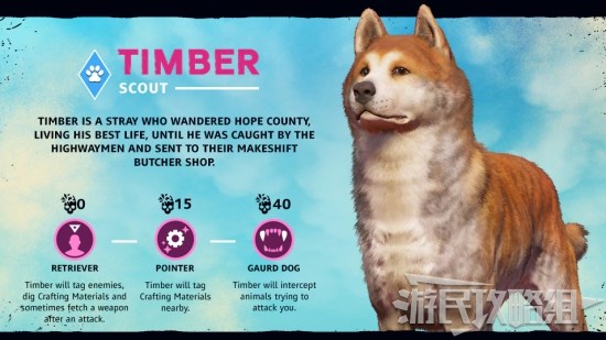 《孤岛惊魂新曙光》全雇佣兵解锁方法及技能效果 怎么解锁同伴