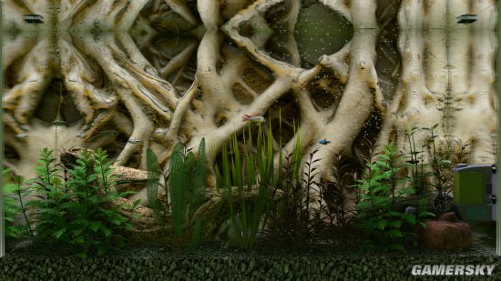 鱼缸模拟器《Biotope》上架Steam 画面逼真、3月29日发售