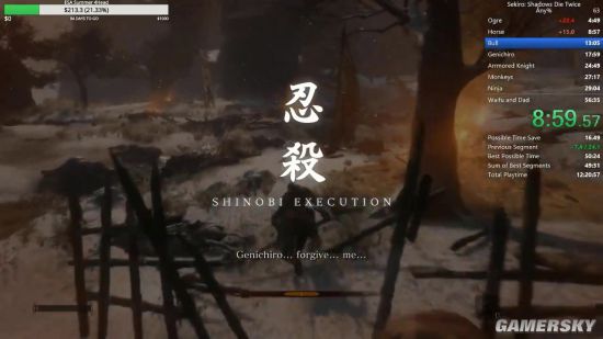 《只狼》世界速通纪录:50分钟52秒通关