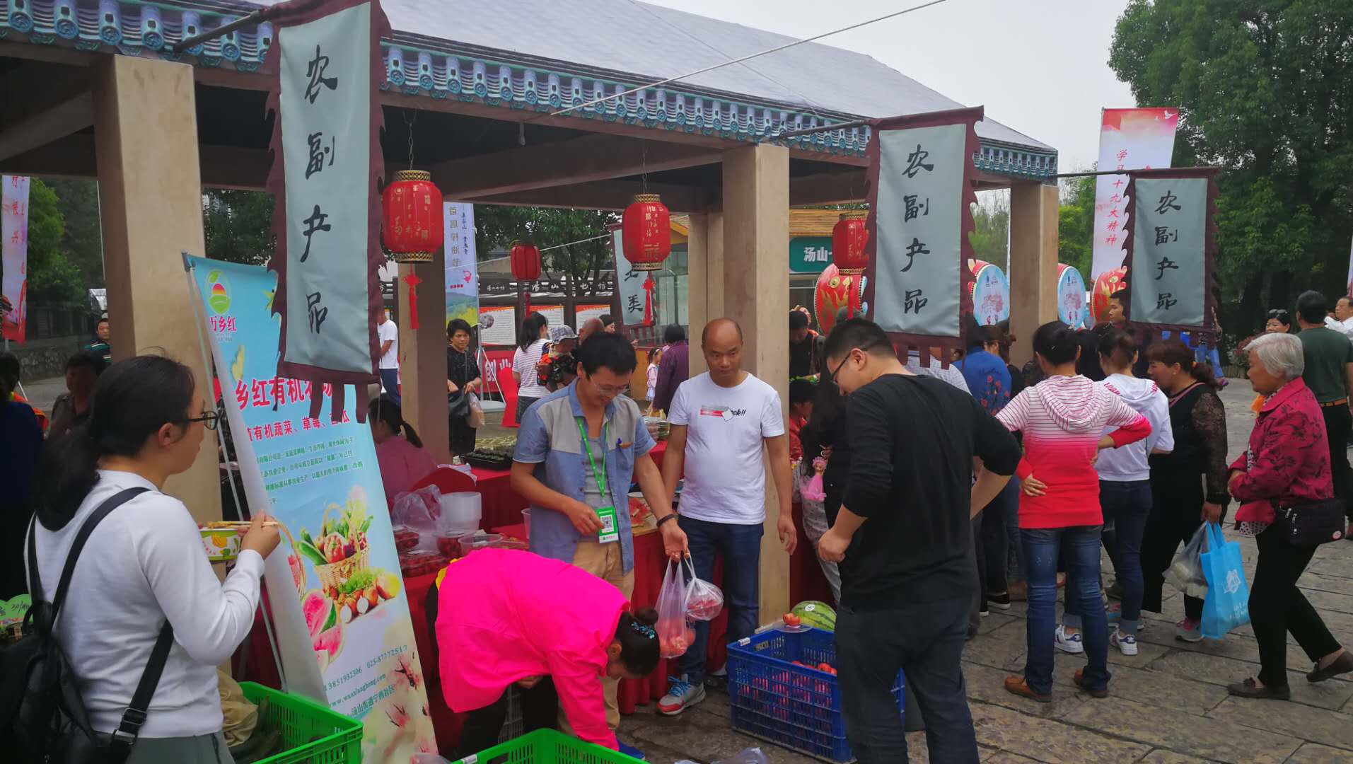 汤山七坊举办榨油节，游客可前往寻找童年记忆|汤山|榨油|游客_新浪新闻