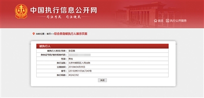中国执行信息公开网公布的被执行人李亚鹏的信息。 图/中国执行信息公开网