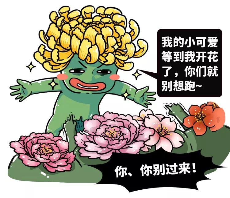 知否 | 为什么菊花变成了羞羞的意思?