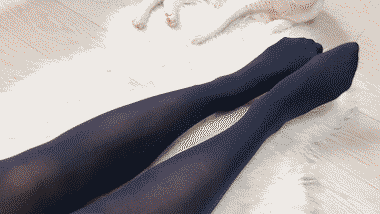 我的宝可梦怕是长睡不醒 动图 直面会时间再叫醒我