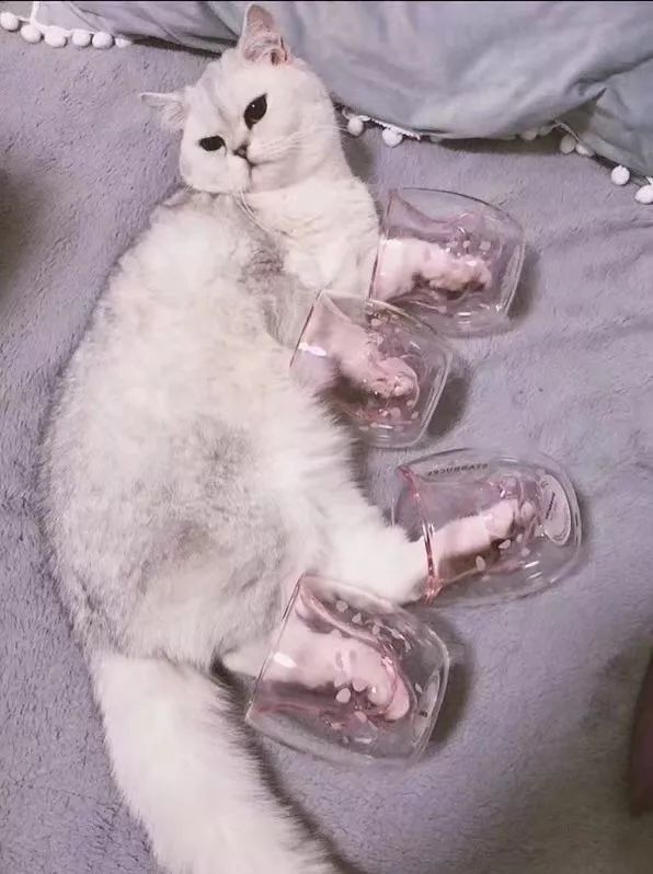 vivo折叠手机价格便宜一千多 HT5Z-htstzca8719491.jpg