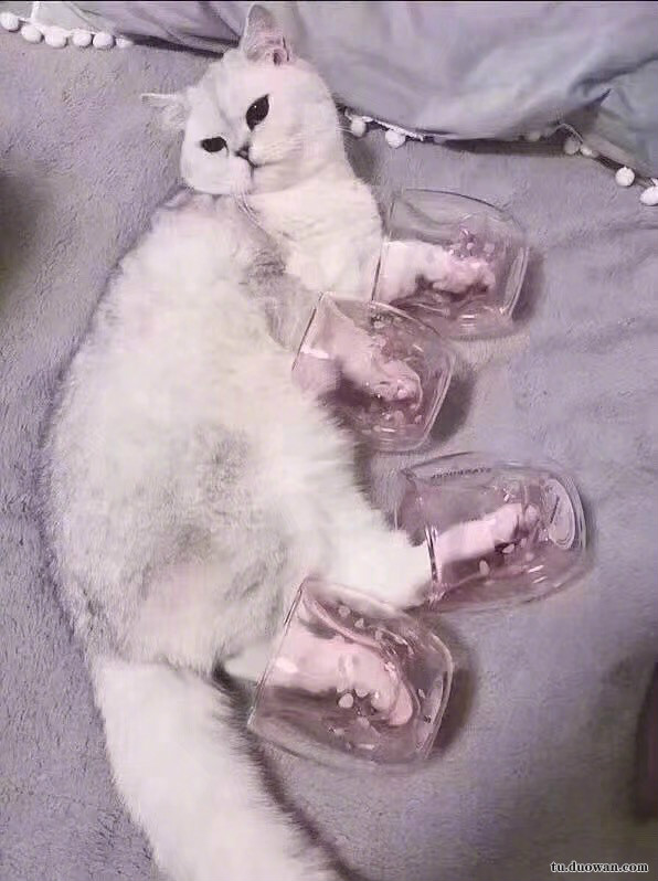 坐牢要选个有品质的监狱 每日轻松一刻3月4日晚间版