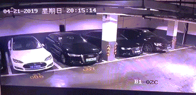 舔狗还能被反舔?动图 小姐姐怎么胳膊肘往外拐啊!