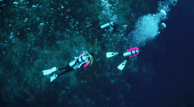 免费玩!整个山东都难找的专业潜水馆原来就在青岛!