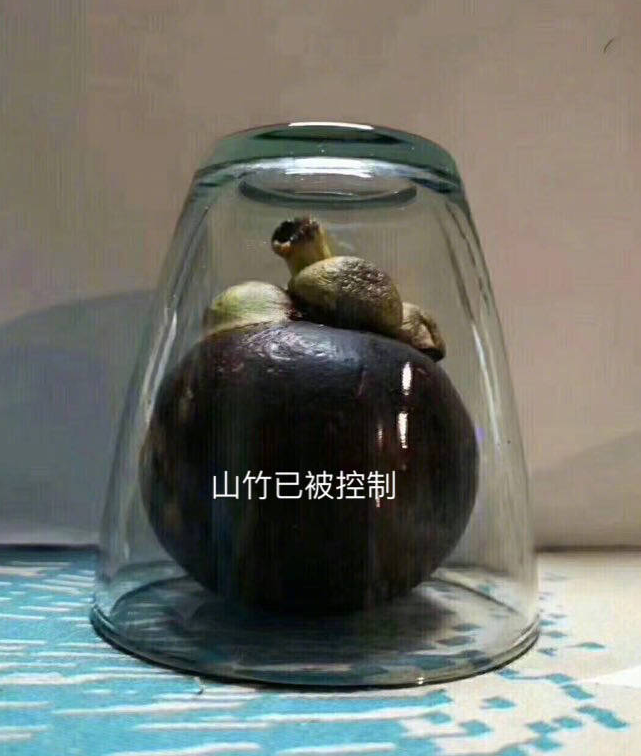 台风山竹封印术是什么梗?窗户上贴米字真的有