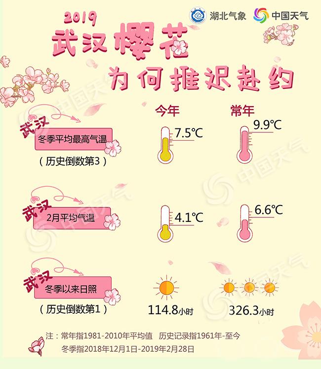 打卡浪漫樱花季 2019武汉赏樱预报新鲜出炉
