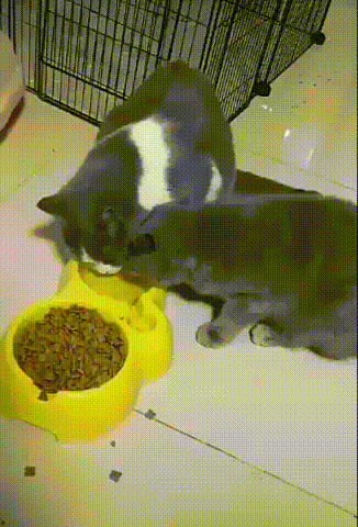 这车现在开会不会很冷?动图 妹子放学一起回家吗?