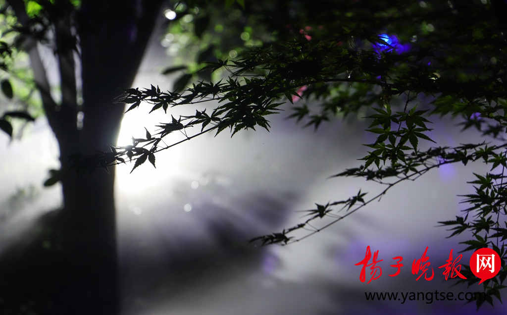 2018茅山灯光音乐节昨启幕 璀璨灯彩打造绝美“梦幻童话王国”