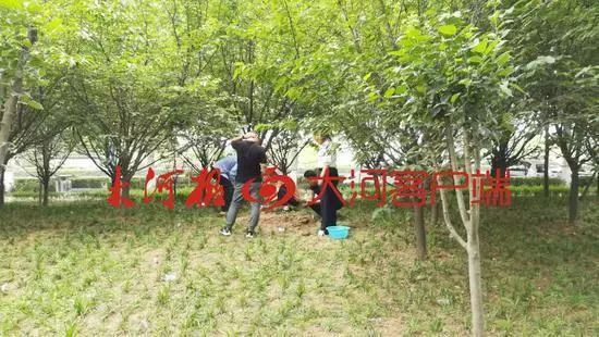 周口男婴失踪竟是自导自演的闹剧!律师:母亲可能构成遗弃罪 周口男婴失踪竟是自导自演的闹剧!律师:母亲可能构成遗弃罪