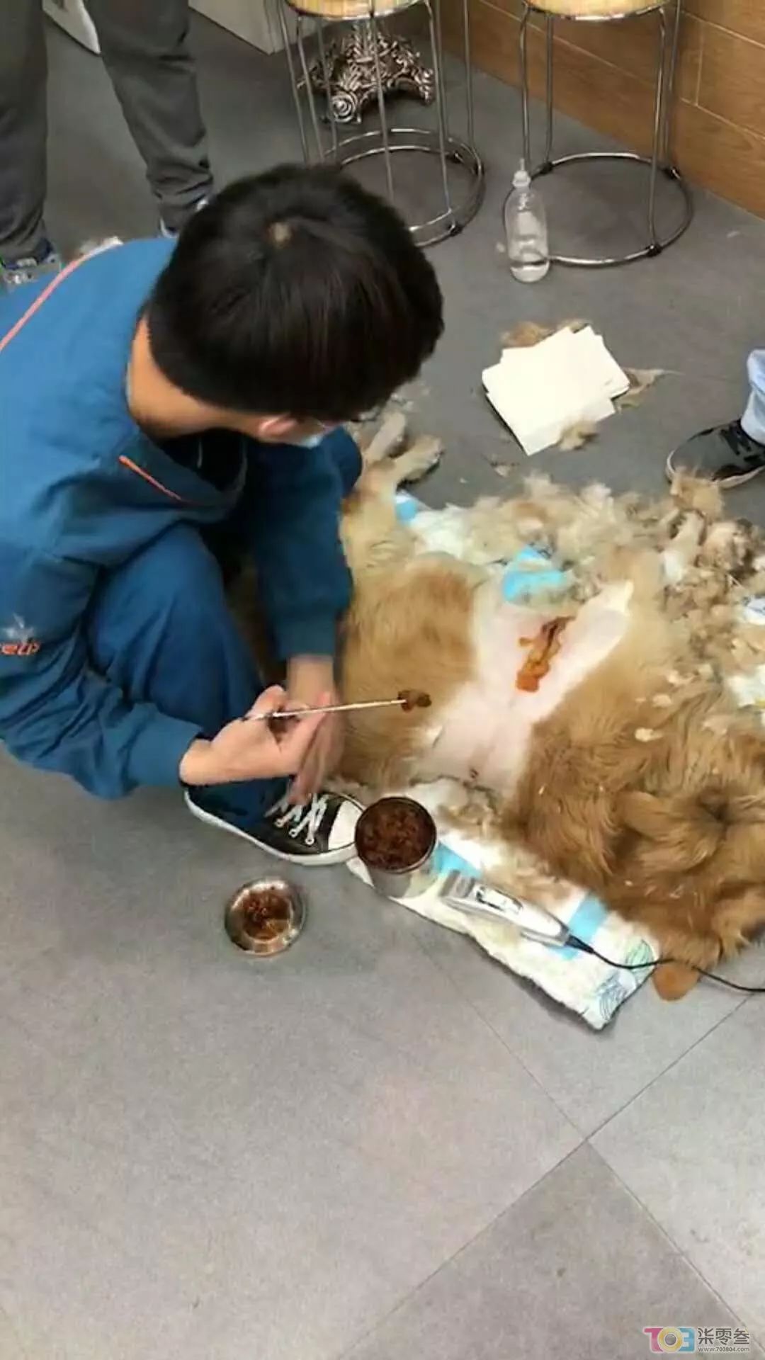 视频:温州一保安花式虐狗,小狗被车拖行皮开肉绽