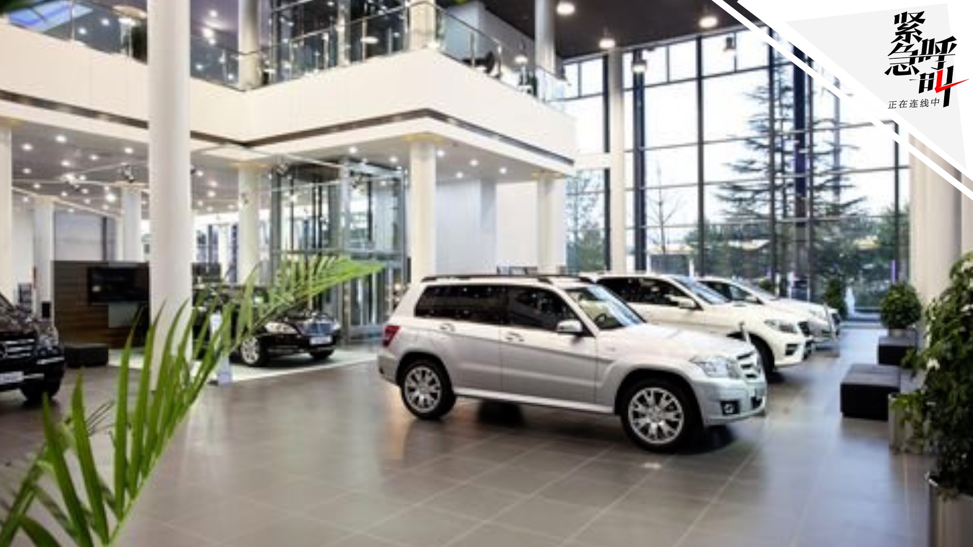 维权奔驰女车主不接受4S店道歉 双方现场交涉