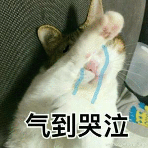 壁纸 动物 猫 猫咪 小猫 桌面 300_300 gif 动态图 动图