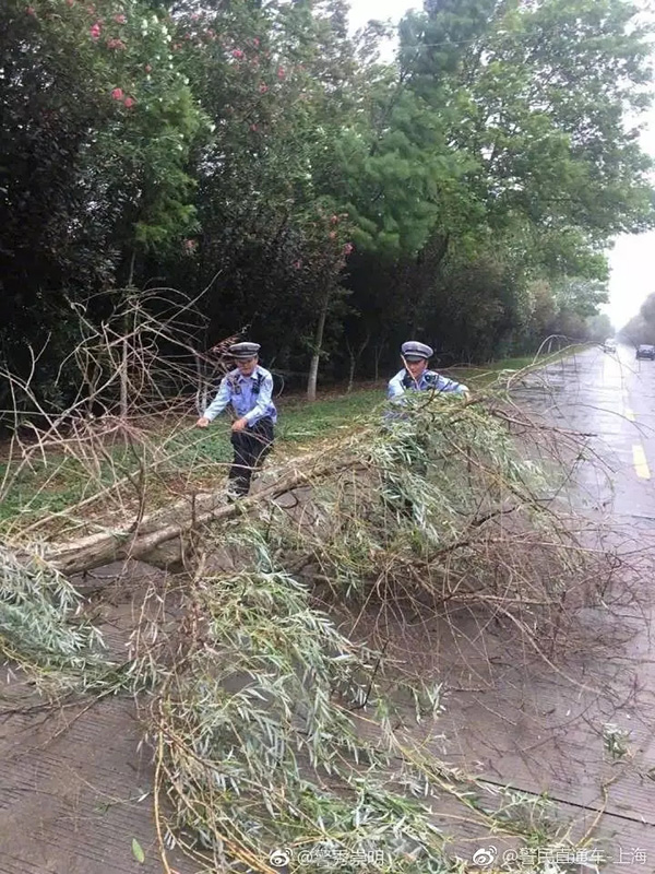 坐在父亲的紫根上写作业