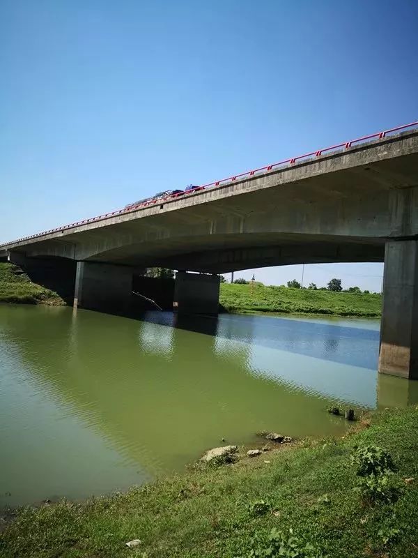 8月3日，璇璇溺亡处，宁杭高速大桥下的句容河河水清绿平缓，一如往常。