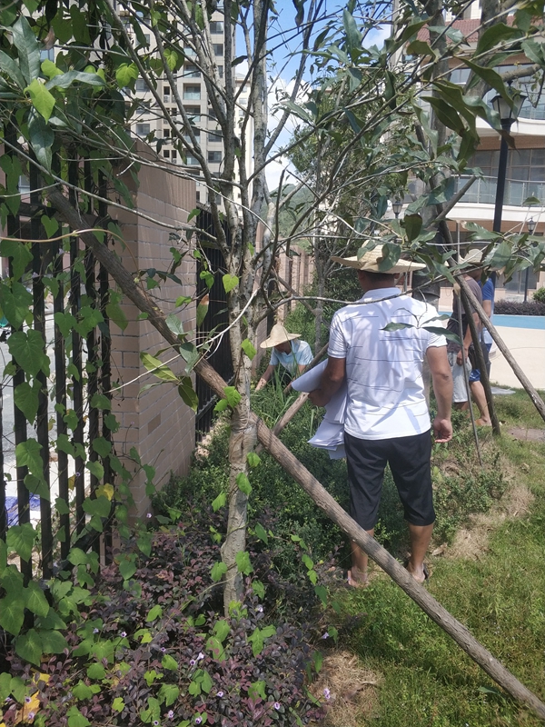 南平市开展武夷新区市政道路工程结算审计|武