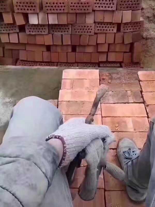 情人节单身狗都在做什么?提供当今最新型情侣特殊服务