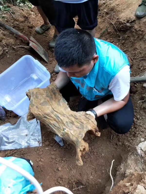 工作人员在遗骸周边搜寻到降落伞、伞布等遗物。受访者供图