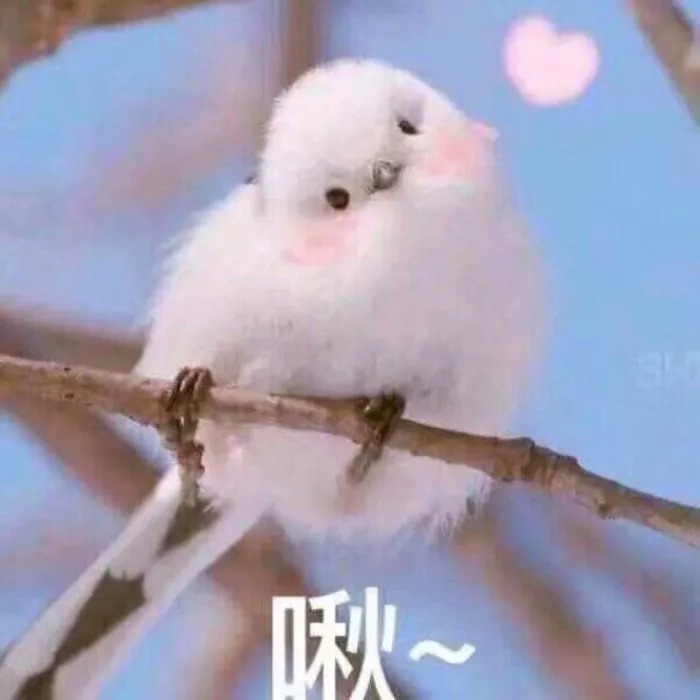 日本当红男艺人童年照片曝光！小时候的他们竟然长这样...