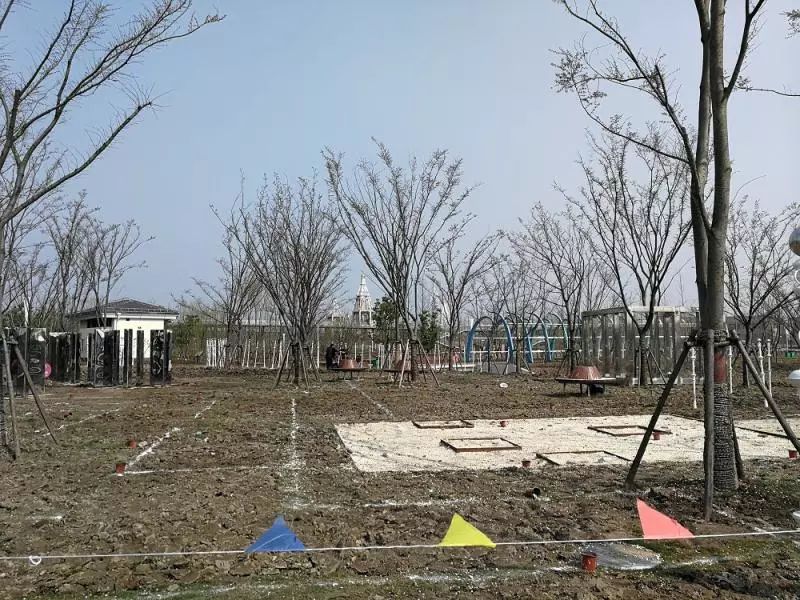 新开的6座郊野公园去过了吗?为您少跑腿、不