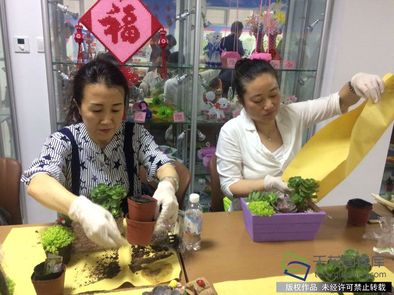 北京西城举办园艺健康培训帮扶失业人员