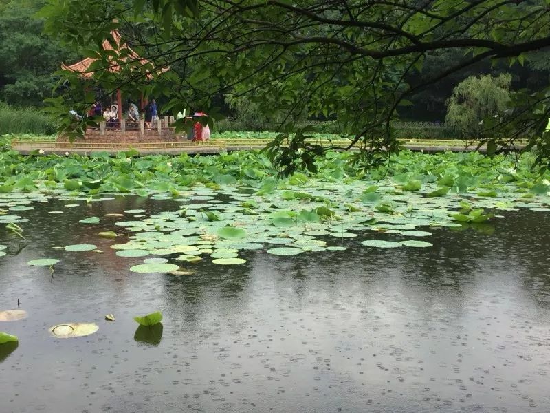 今天11级妖风加上雷电加太阳雨(多图视频),最新预报:下周青岛几乎天天