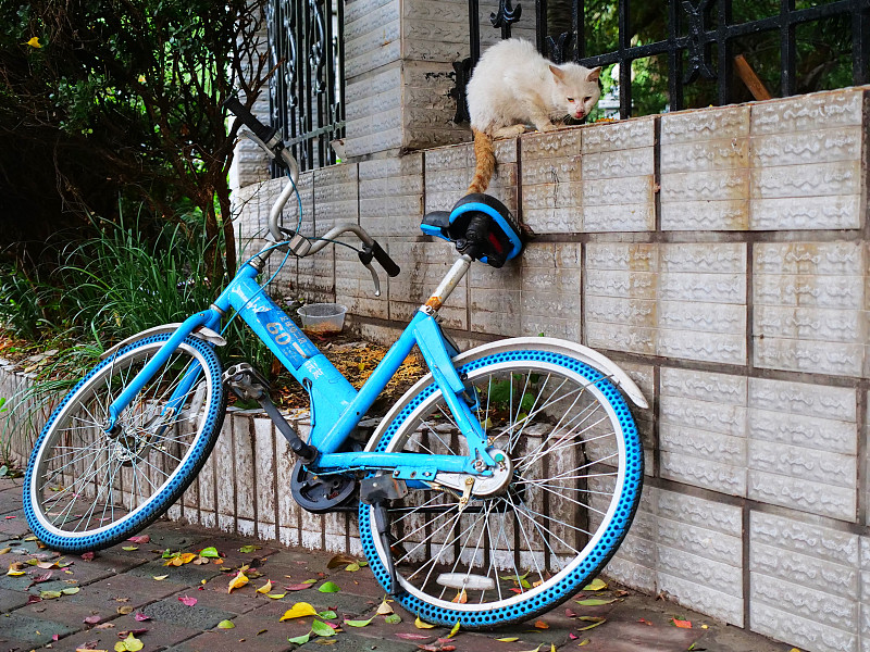 破产后的小鸣单车被回收，每辆单车12元