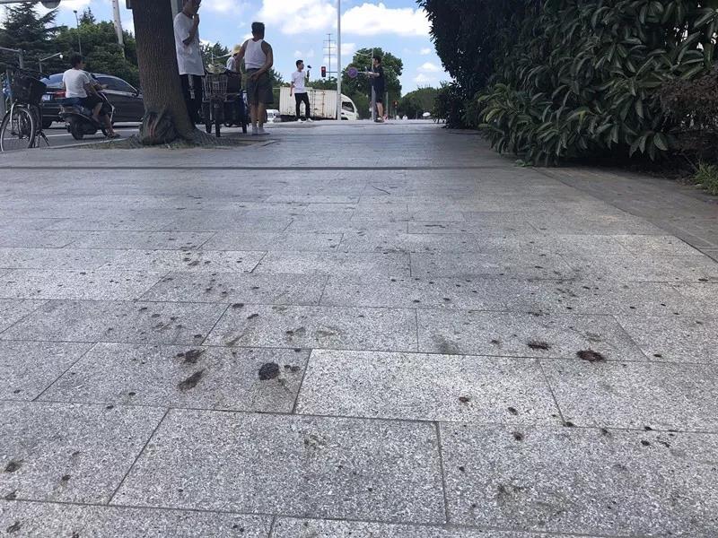 昆山案反杀男:儿子患重病,背负着家庭生活重