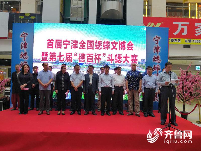 首届中国宁津蟋蟀文博会暨斗蟋大赛拉开帷幕 22支队伍精彩角逐