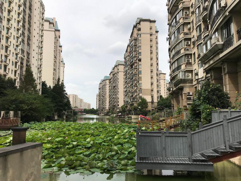 上海康城人口_从松江到莘庄,上海这个最大社区鲜为人知的变更史 你知道吗(3)