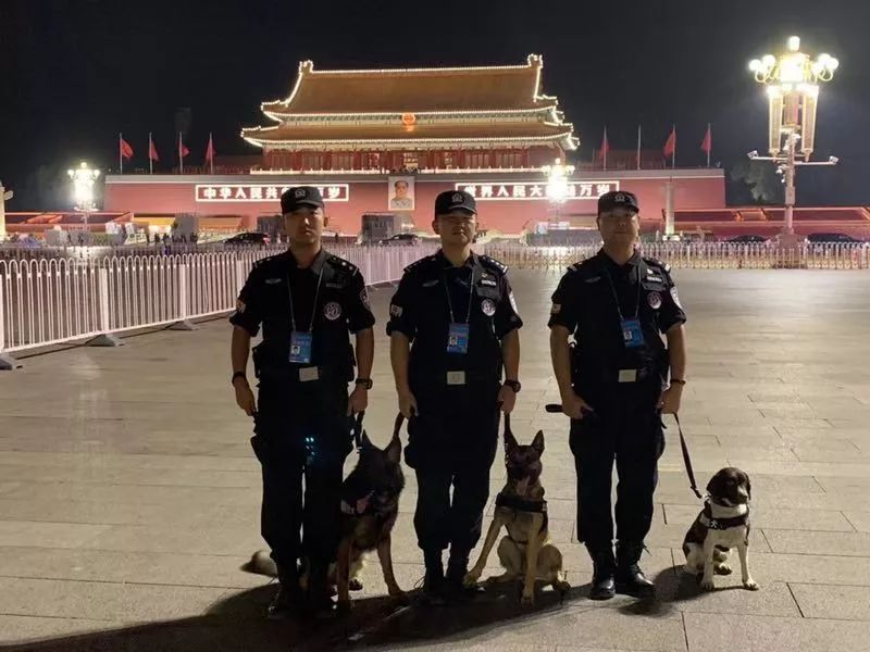 开车等红灯或堵车时可以打电话吗？襄阳交警回应…