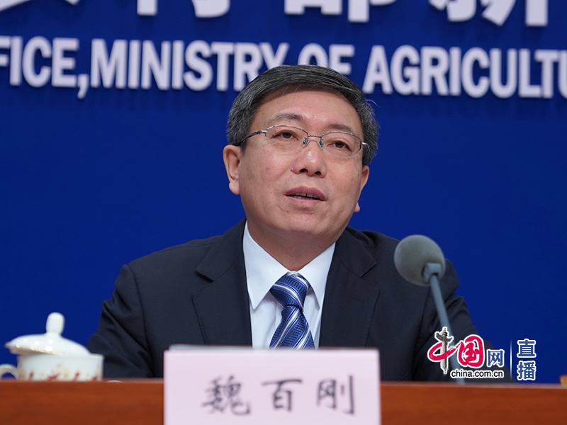 「乐橙账号共享」马丽懒理《西虹市首富》换角传闻,皮肤水嫩难怪能拿下小11岁男友
