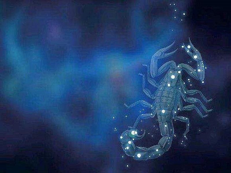 12月9日至15日幸运星座 天蝎 巨蟹 狮子 水瓶 摩羯天天向上