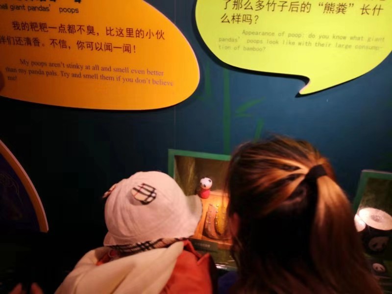 武汉动物园游客可闻熊猫粪便 动物园:能闻到最