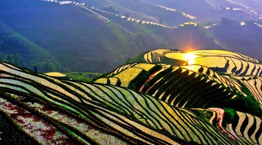 广西贵州100个景点免费或半价！广东人拿身份证就能享受！