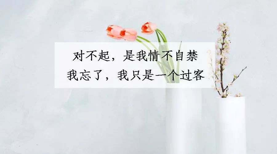 一生相伴简谱_相伴一生简谱歌谱(3)