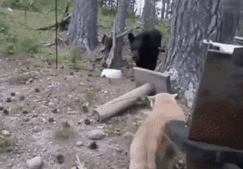 ˼Ҫϴ㿴ʲô ͼ Ǹٵ