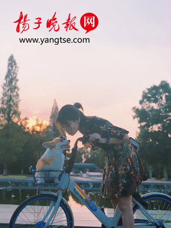 有哈啰校车,有哈啰食堂 哈啰单车发布镇江五宗