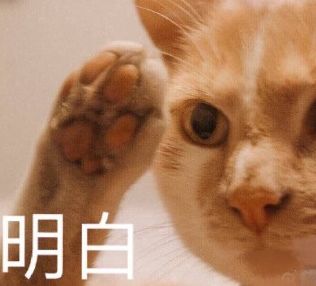 女明星为什么一定要是瘦子?